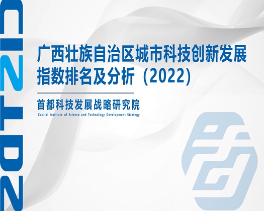 操小骚逼【成果发布】广西壮族自治区城市科技创新发展指数排名及分析（2022）